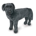 www.MaxHobbyShop.com