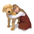 www.MaxHobbyShop.com
